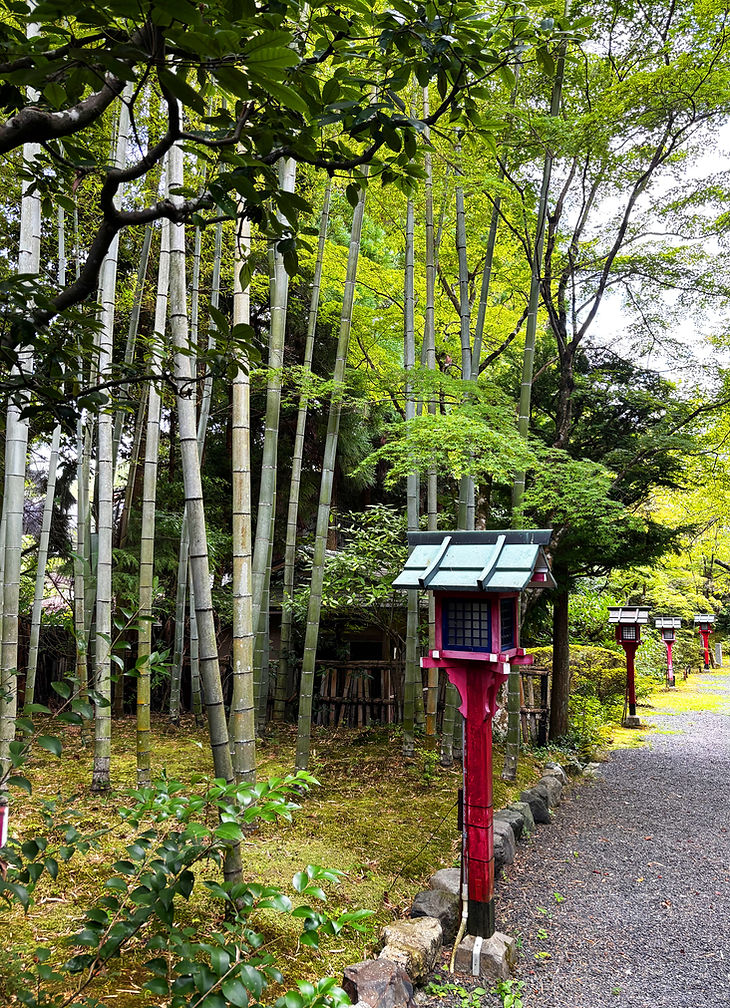 Bambus-Josho-ji-Tempel-Kyoto-IMG_5416-1500x2000px.jpg